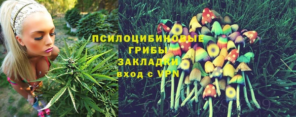 COCAINE Верея